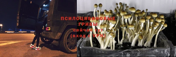 дистиллят марихуана Арсеньев