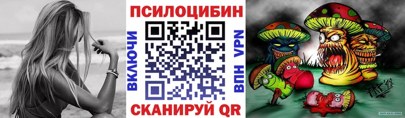 продажа наркотиков  Нововоронеж  Псилоцибиновые грибы GOLDEN TEACHER 